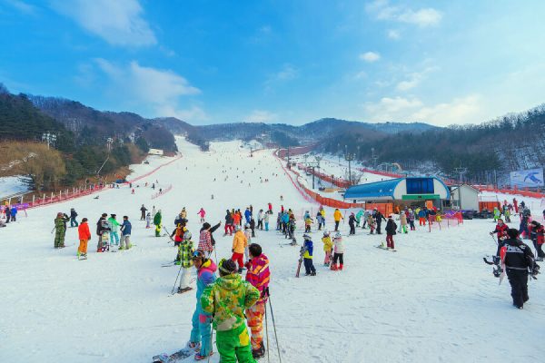DU LỊCH HÀN QUỐC GIÁ RẺ NHẤT THỊ TRƯỜNG CHỈ TỪ 12 TRIỆU VNĐ TOUR 5 NGÀY 4 ĐÊM TỪ HÀ NỘI -TP HCM - SEOUL - NAMI - LOTTE WORLD - TRƯỢT TUYẾT ELYSIAN- LÀNG CỔ EUNPYEONG HANOK – HÁI DÂU TÂY TOUR RẺ NHIỀU TRẢI NGHIỆM 
