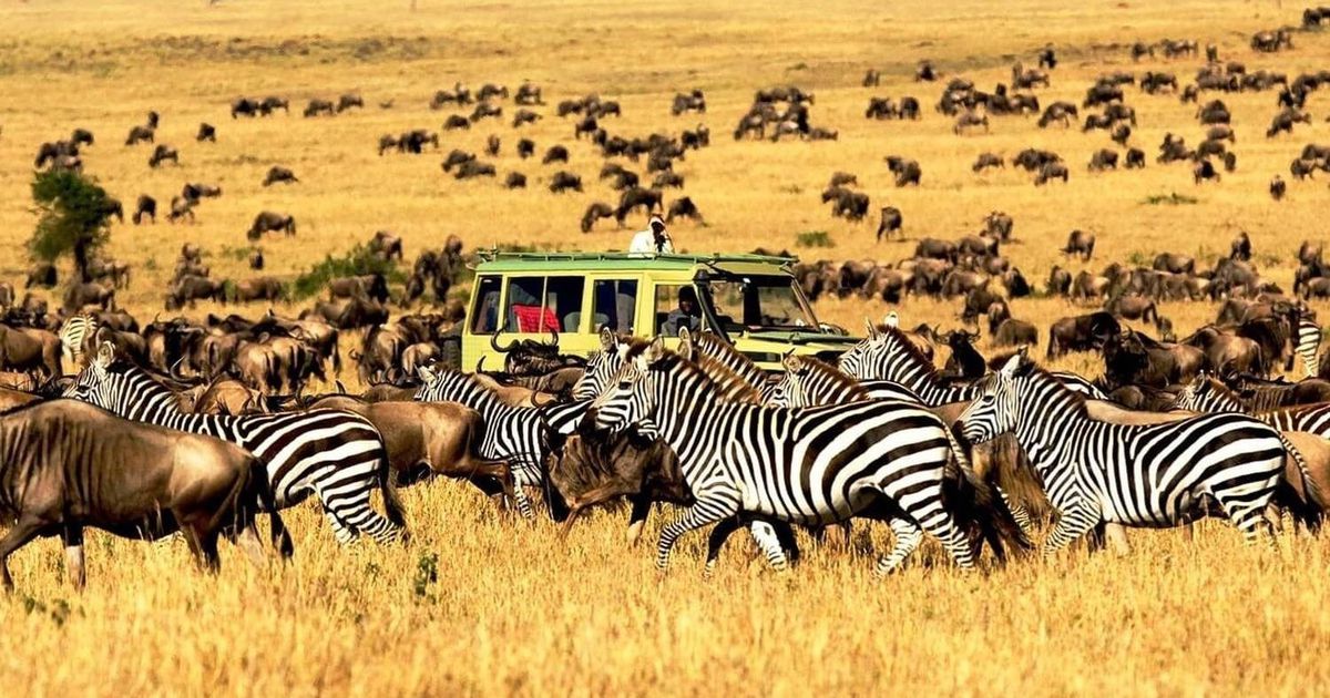 CHÂU PHI KỲ THÚ 2025 CHỨNG KIẾN CUỘC DI CƯ VĨ ĐẠI MÙA KHÔ HÀNG NĂM TẠI 2 NƯỚC ĐÔNG PHI KENYA -TANZANIA LIÊN TUYẾN 11 NGÀY 10 ĐÊM TỪ HÀ NỘI TP HỒ CHÍ MINH TRỌN GÓI GIÁ RẺ HÀNH TRÌNH ĐỘC LẠ CÓ MỘT KHÔNG HAI